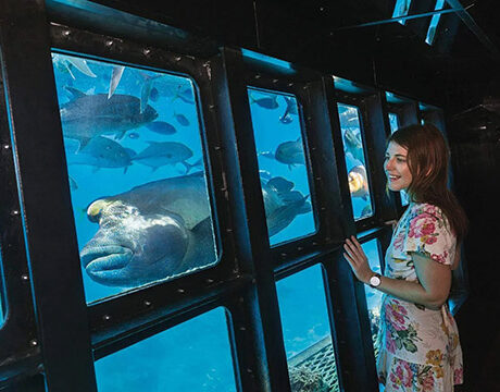 Underwater Observatory - Sunlover Reef Cruises