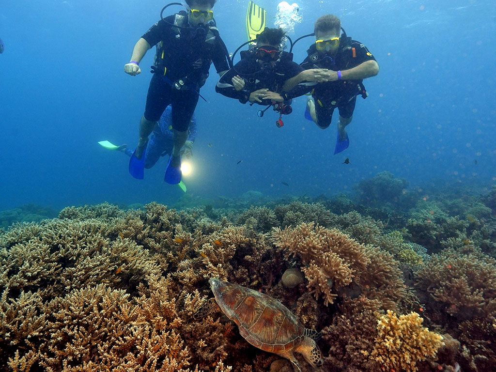 Sunlover Introductory Diving - Dive Guide