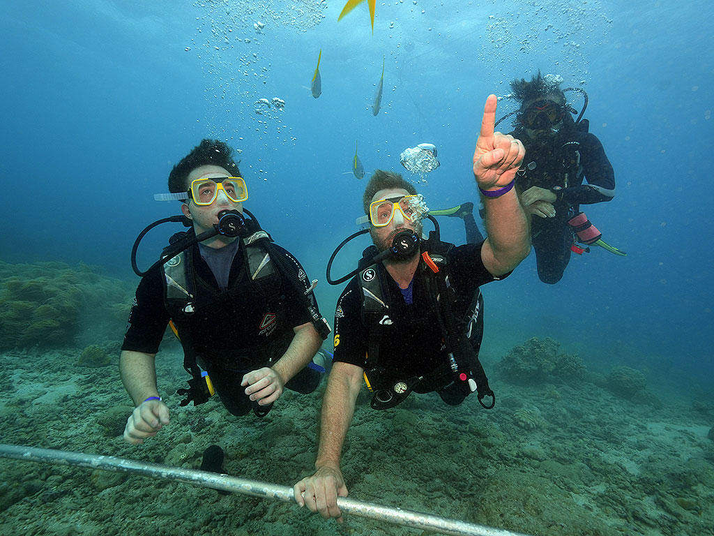 Sunlover Introductory Diving - Photo Time
