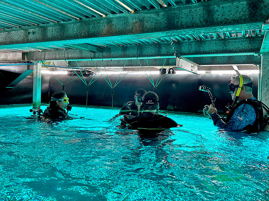 Sunlover Introductory Diving - Pontoon