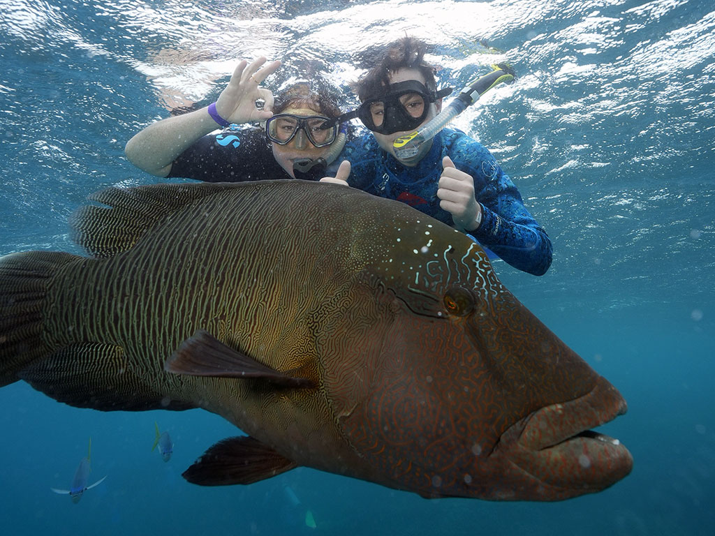 Sunlover Introductory Diving - Snorkeling