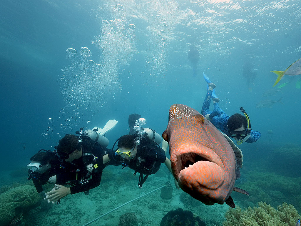 Sunlover Introductory Diving - Wally