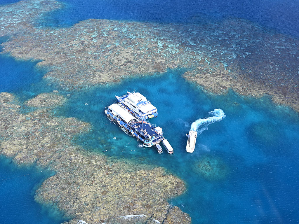 Sunlover Moore Reef Pontoon