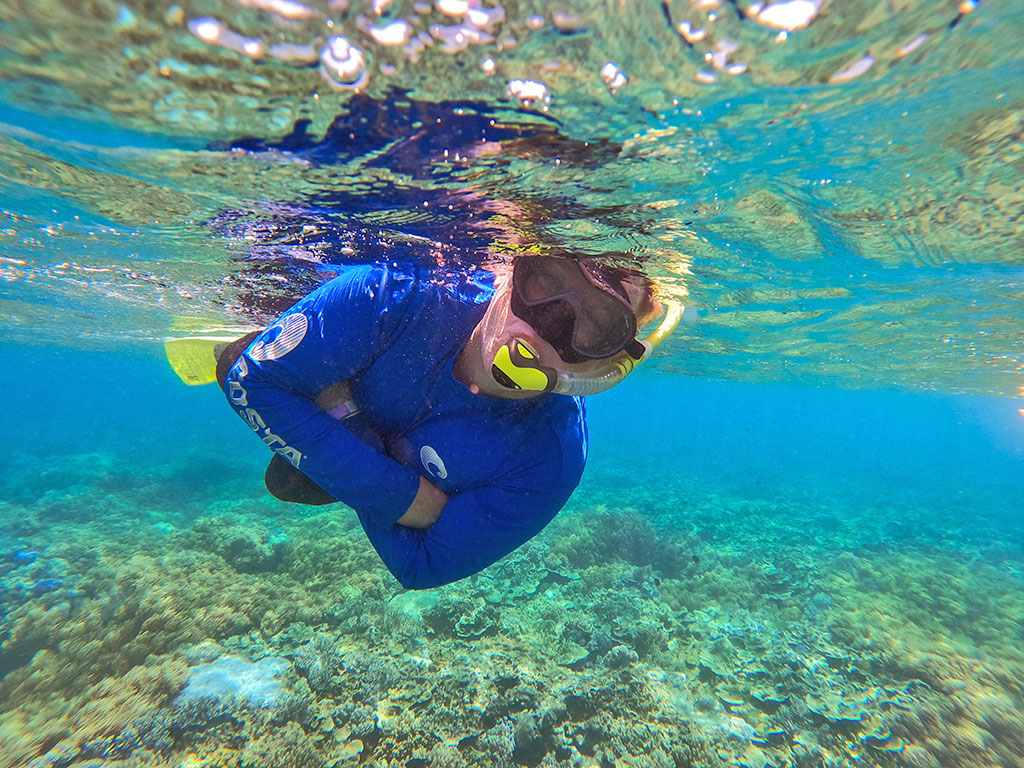 Sunlover  Reef & Fitzroy - Snorkel