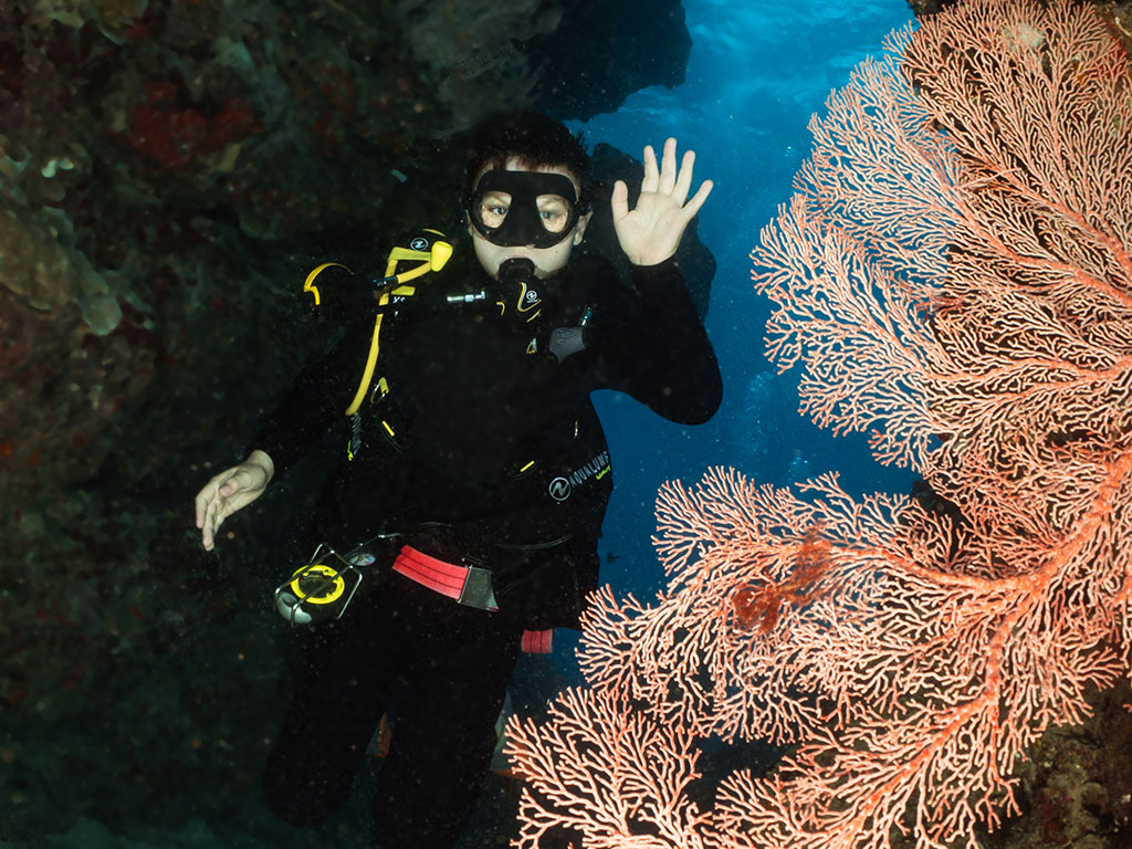 Swimthrough Agincourt Reefs