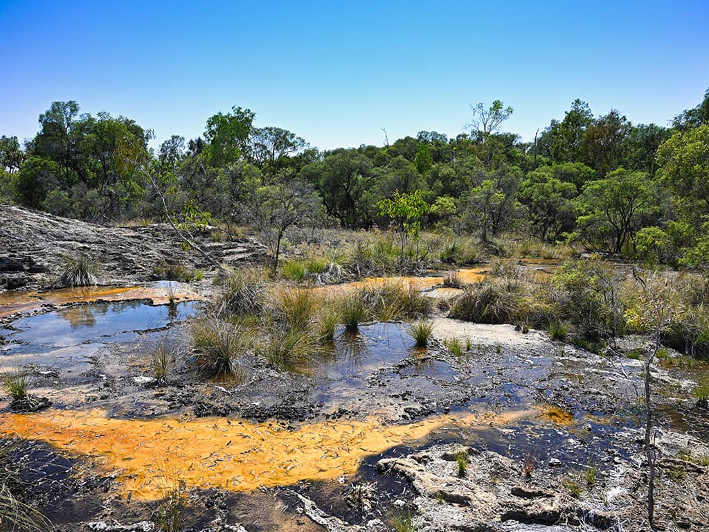 Talaroo Hot Springs - Boardwalk View