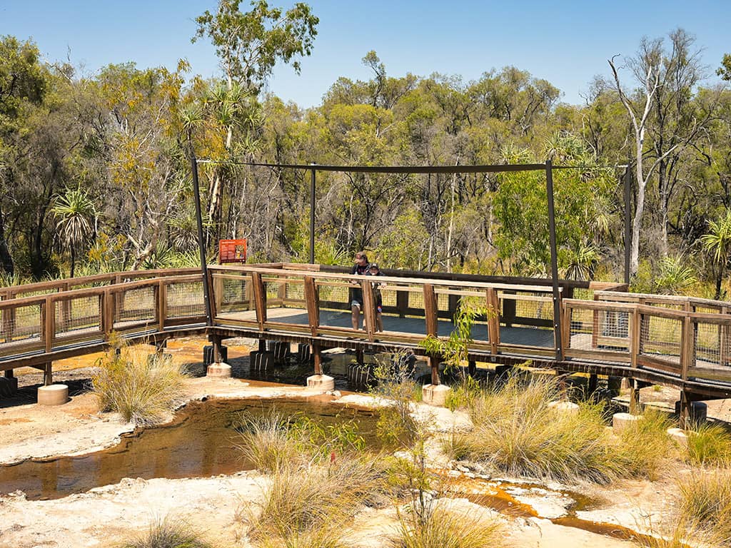 Talaroo Hot Springs - Boardwalk Viewing Deck