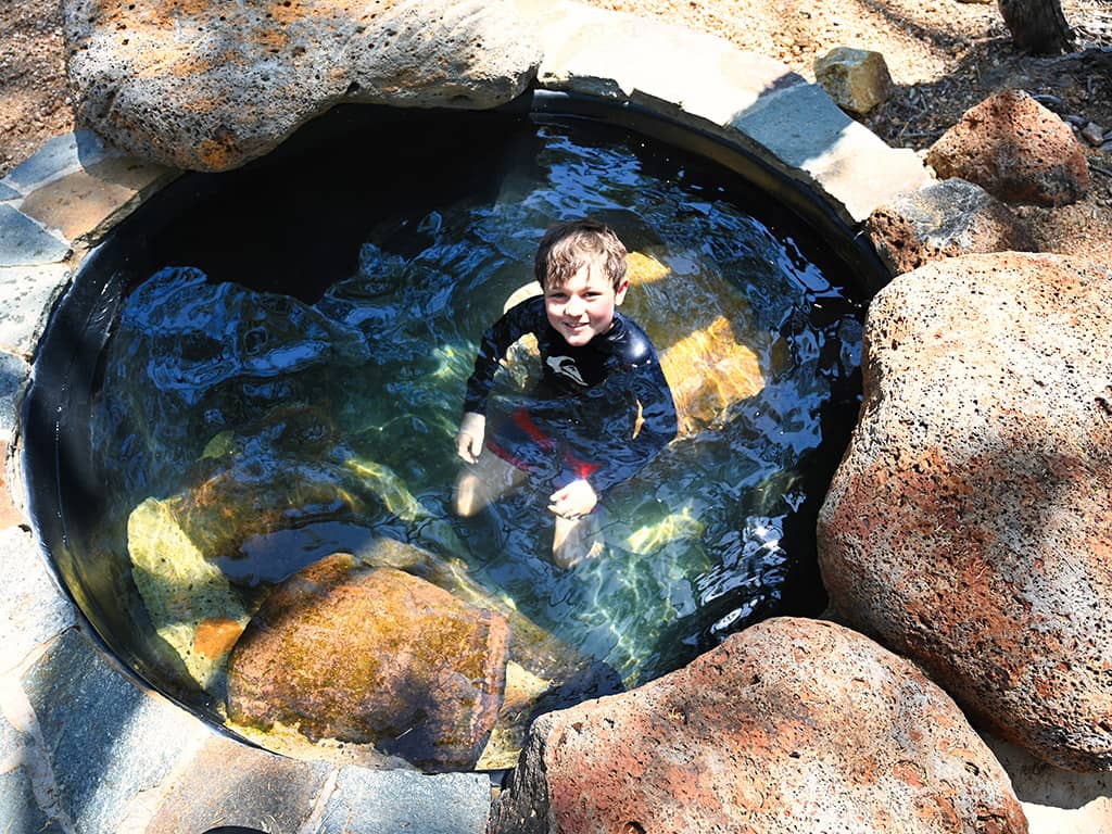 Talaroo Hot Springs - Plunge Pool