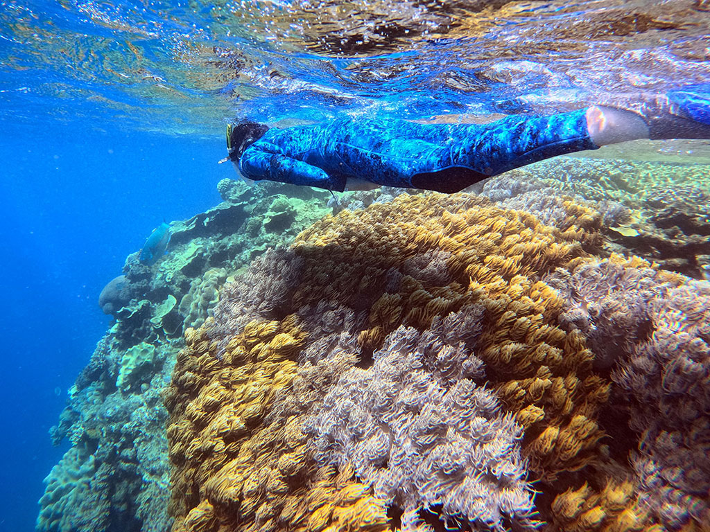 Teenager Snorkelling Moore Reef