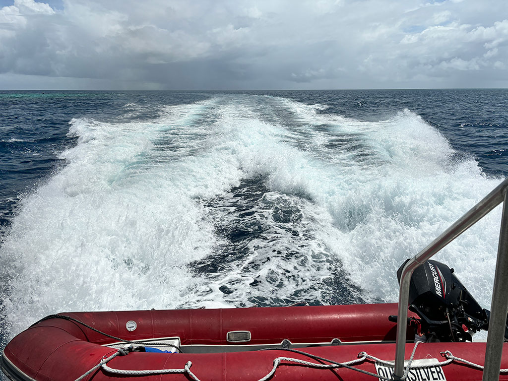 The way to the Reef