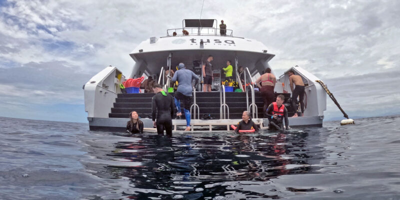 tusa half day snorkeling water entrance
