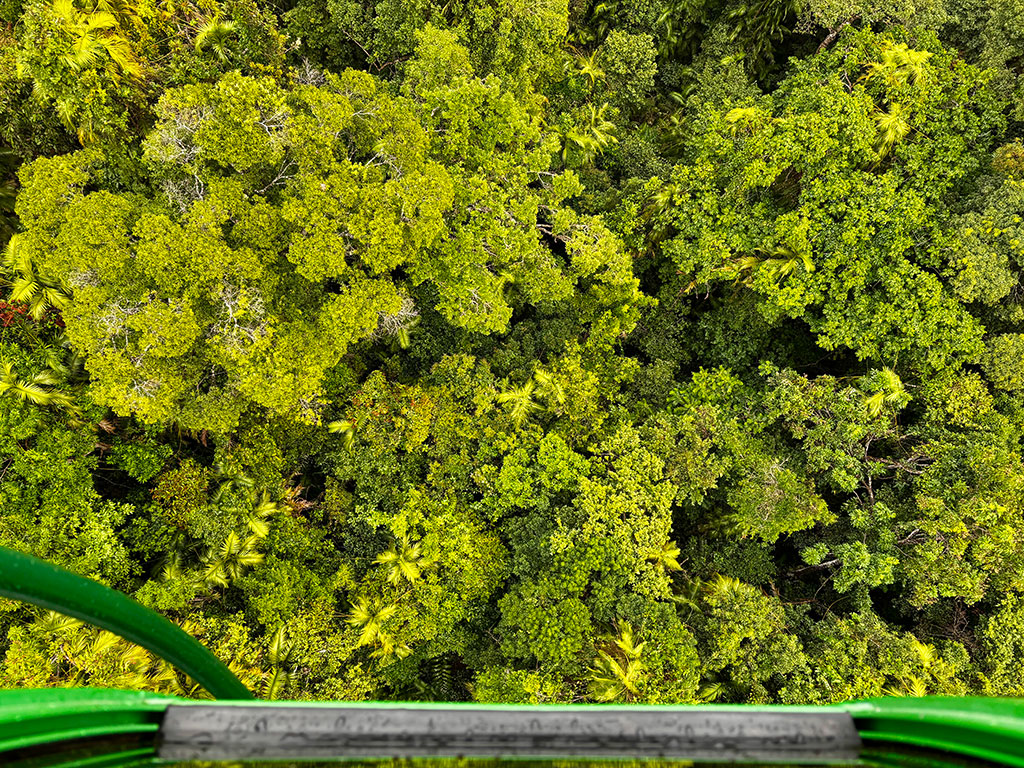 View from Skyrail Gondola
