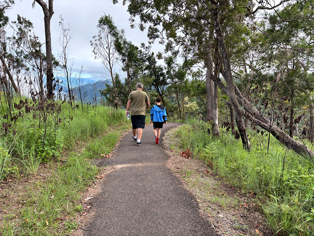 Wallaman Falls - Path