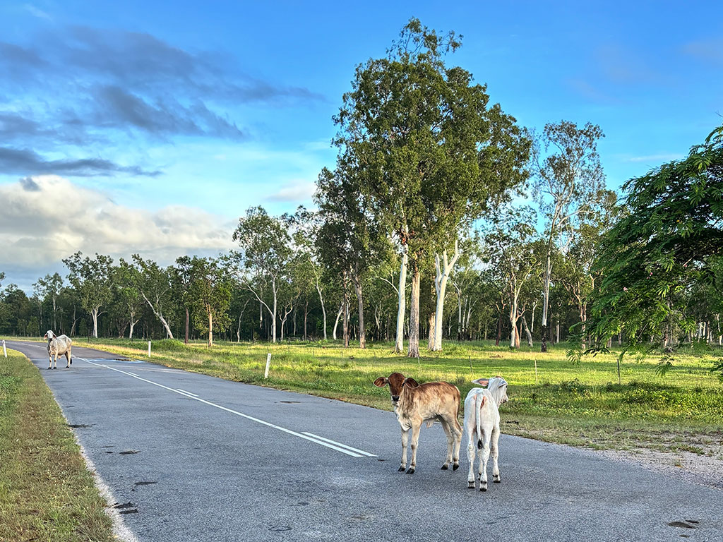 Wallaman Falls - Scenic Drive