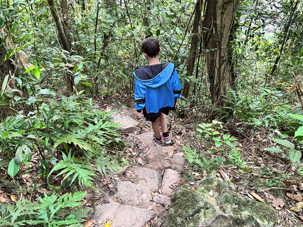 Wallaman Falls - Stairs